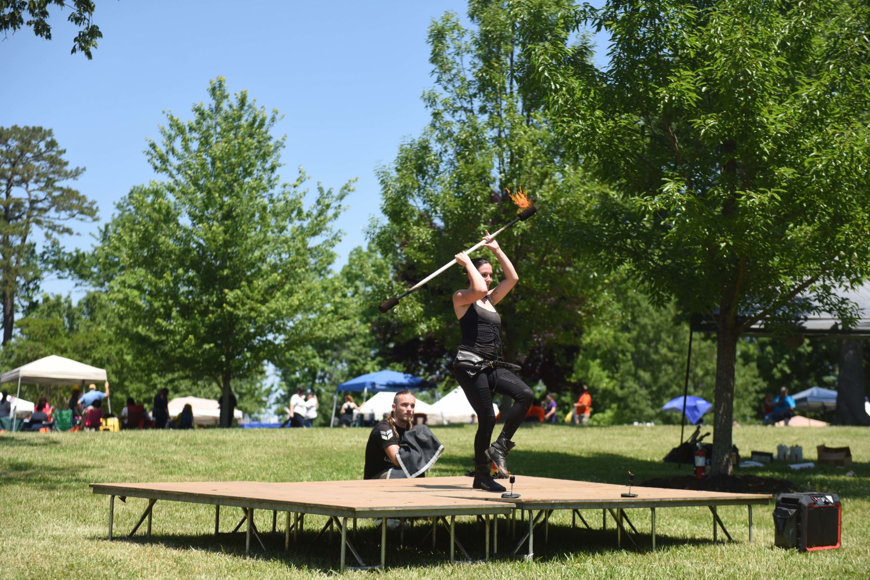 Festival in the Park